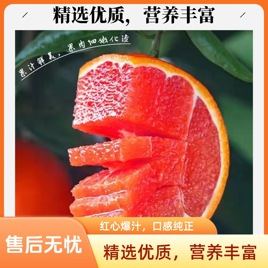产地直发 湖北秭归血橙当季时令新鲜水果富含多种维生素营养美味