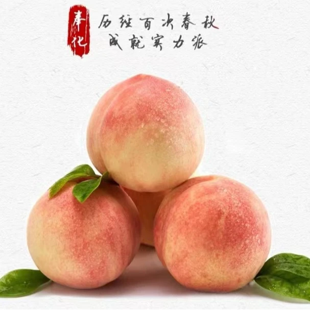[云耕大堰]奉化水蜜桃5斤家庭装当季新鲜现摘现发