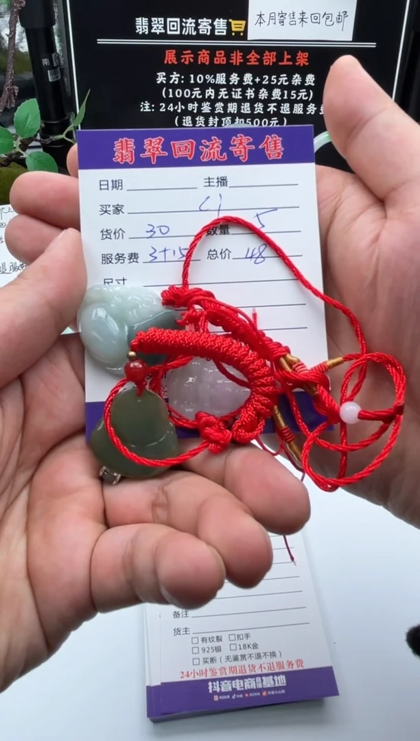 【闪购商品】翡翠颈饰未镶嵌挂件