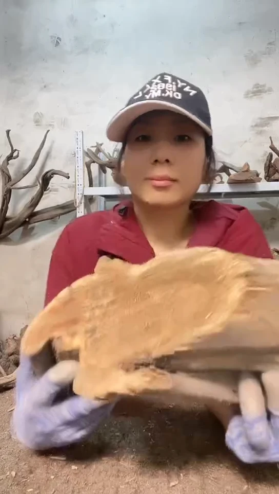 香榧木御**夫太行崖柏直播间商品