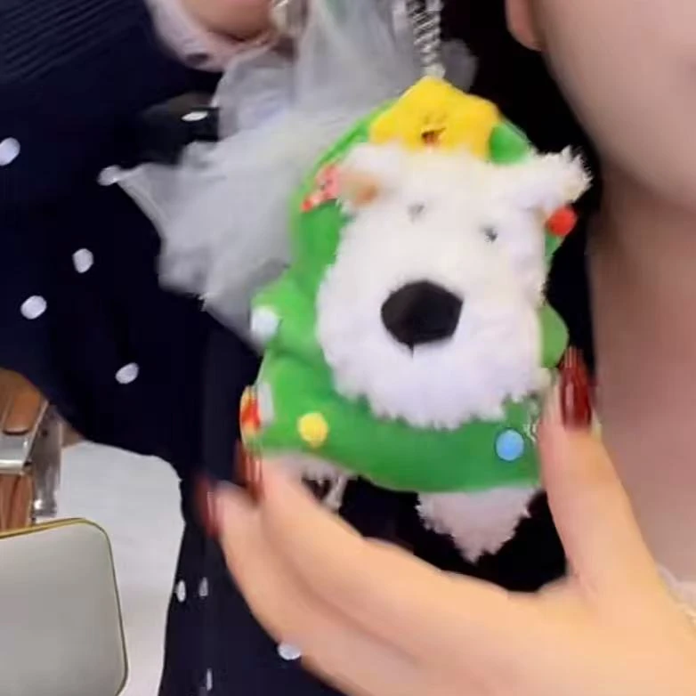 江江专属~福袋手机挂件（多样性发一）