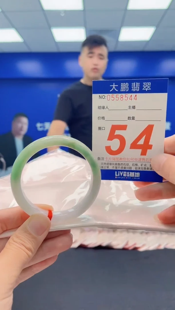 未镶嵌手镯翡翠AAAAAAAAA