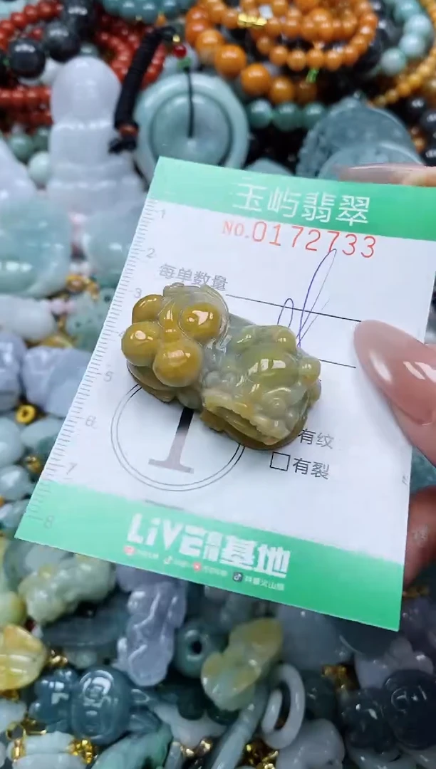 翡翠未镶嵌颈饰闪购0172733