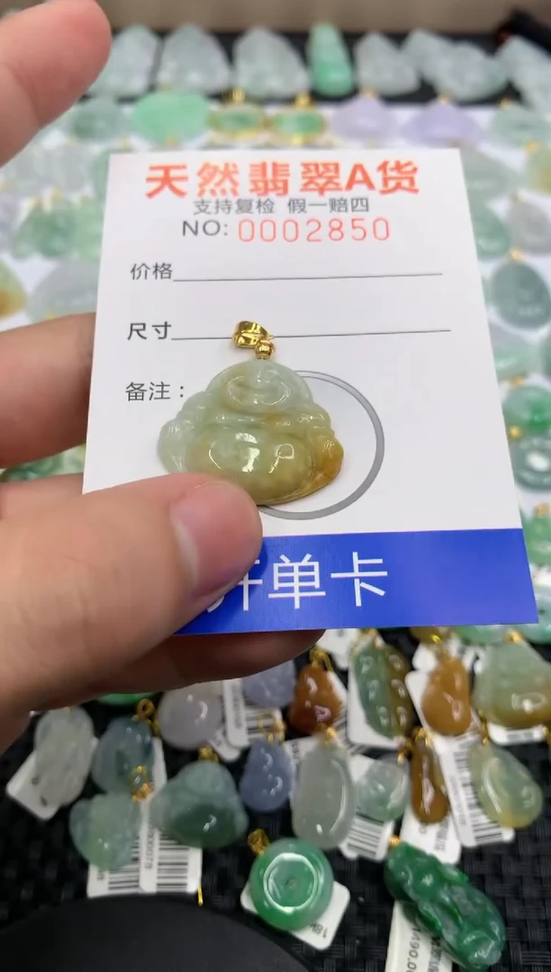 【闪购商品】翡翠颈饰未镶嵌11111111111