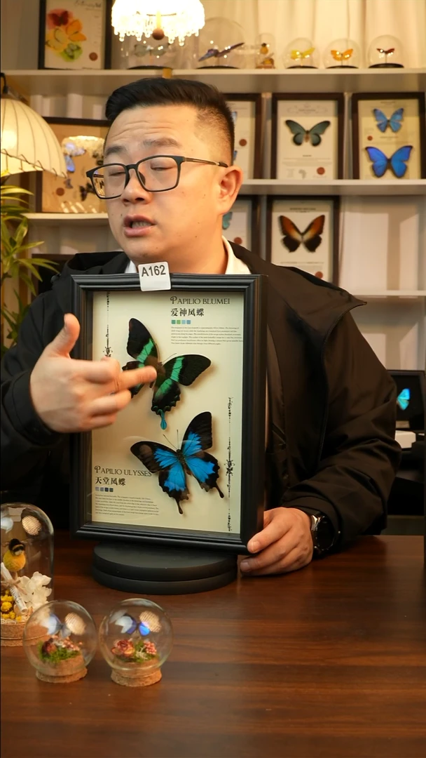 爱神凤蝶天堂凤蝶组合款(A4欧式黑框)A162