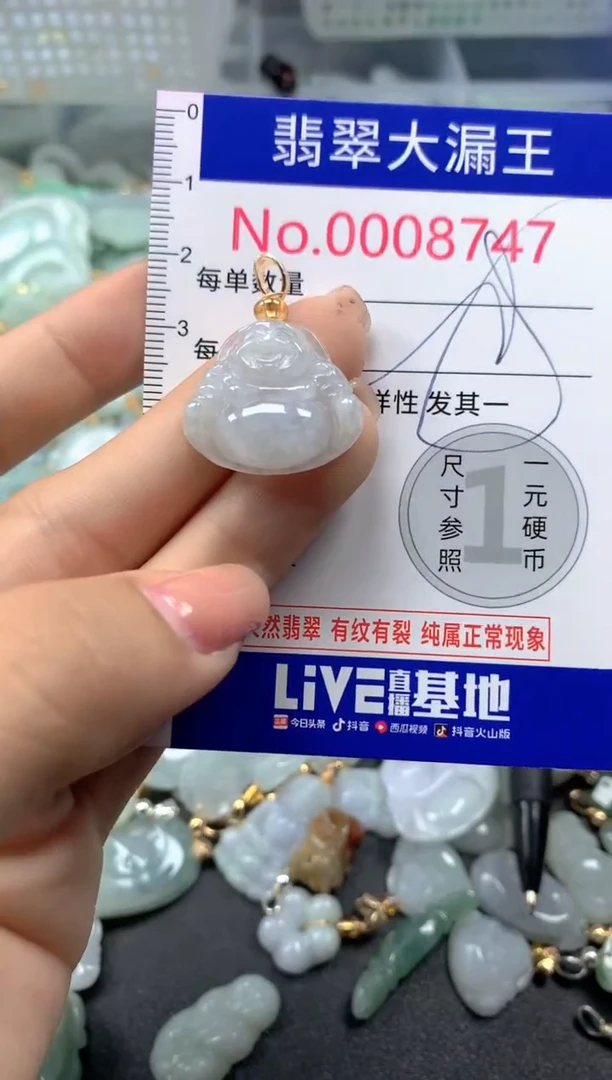 颈饰未镶嵌翡翠8747