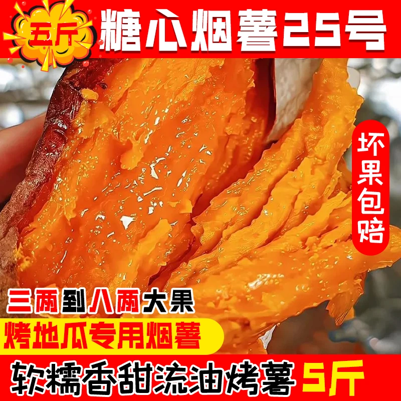 5斤装烟薯25现挖现发新鲜糖心蜜薯软糯香甜口感似烤地瓜