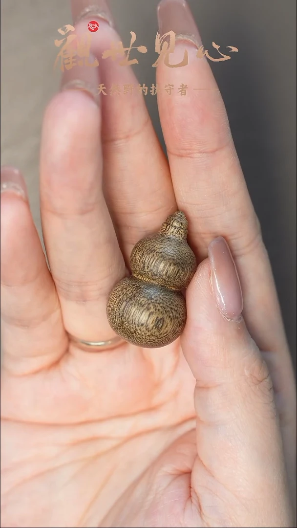 沉香沉香碎屑文莱小葫芦