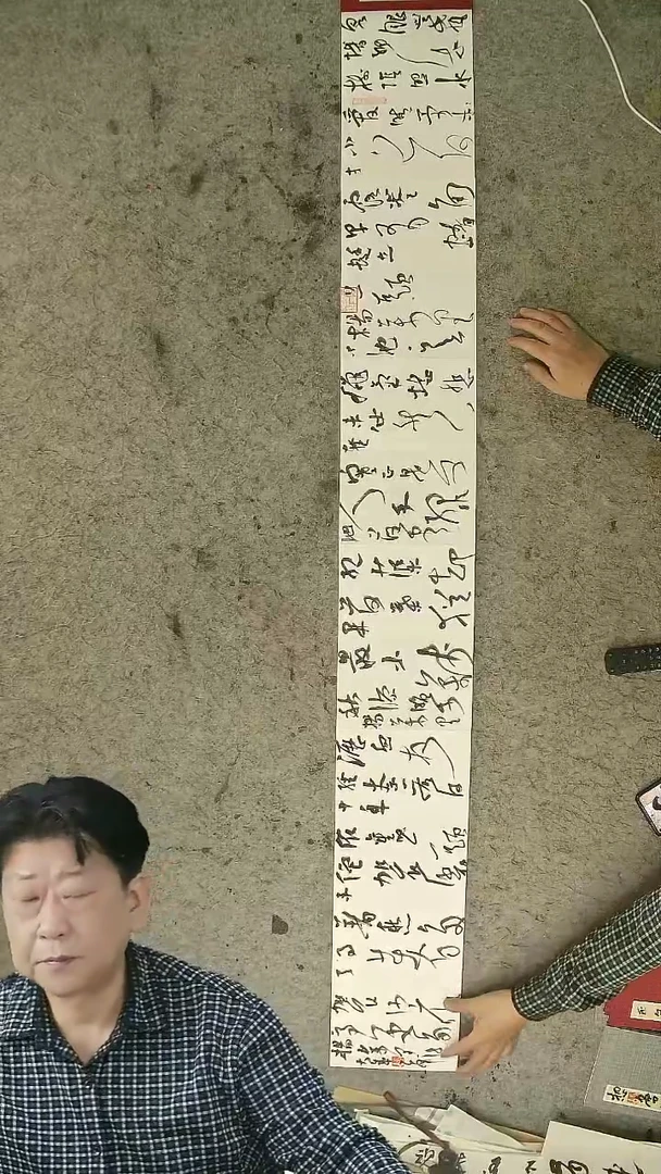 书法20*14cm 12页   胡大成老师  书法册页