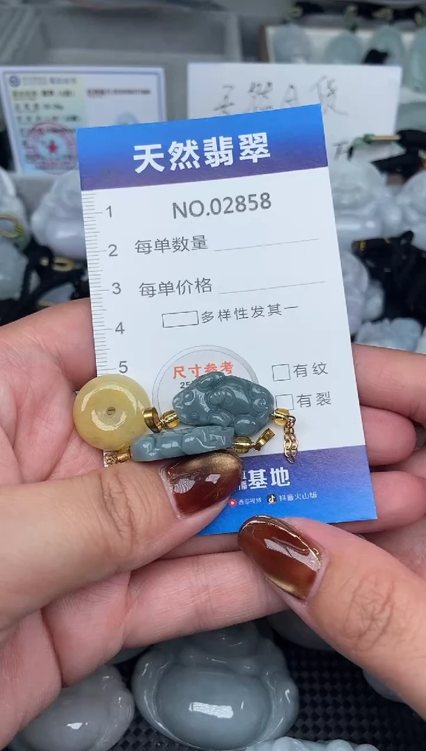 颈饰未镶嵌翡翠纯天然A货翡翠2858