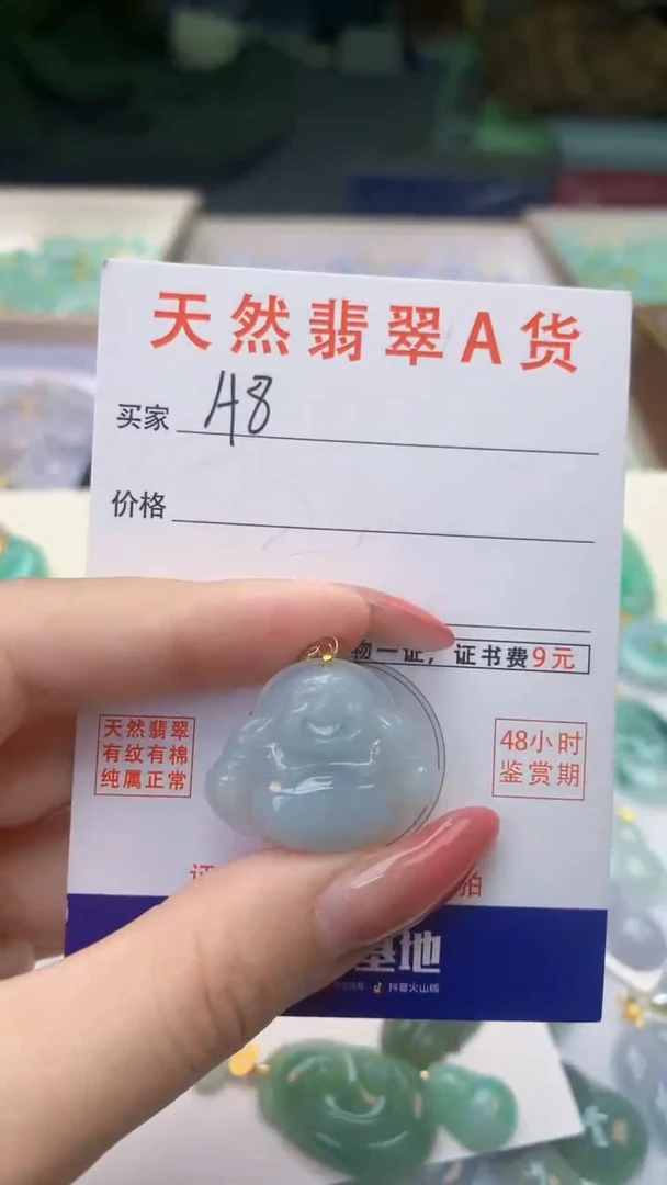 颈饰未镶嵌翡翠天然A货翡翠挂件