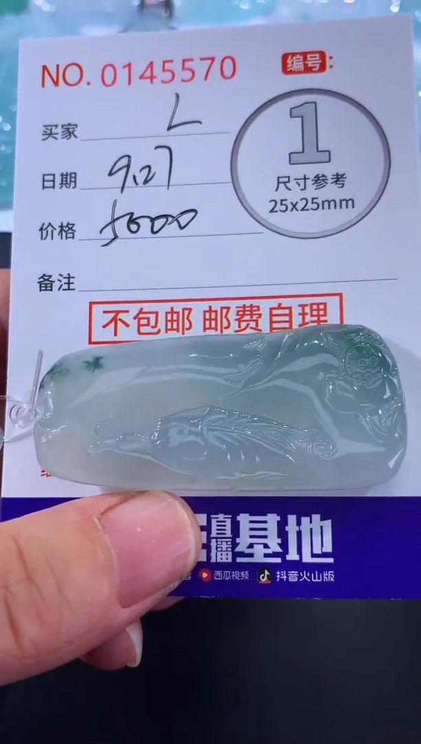 颈饰未镶嵌翡翠L****u！