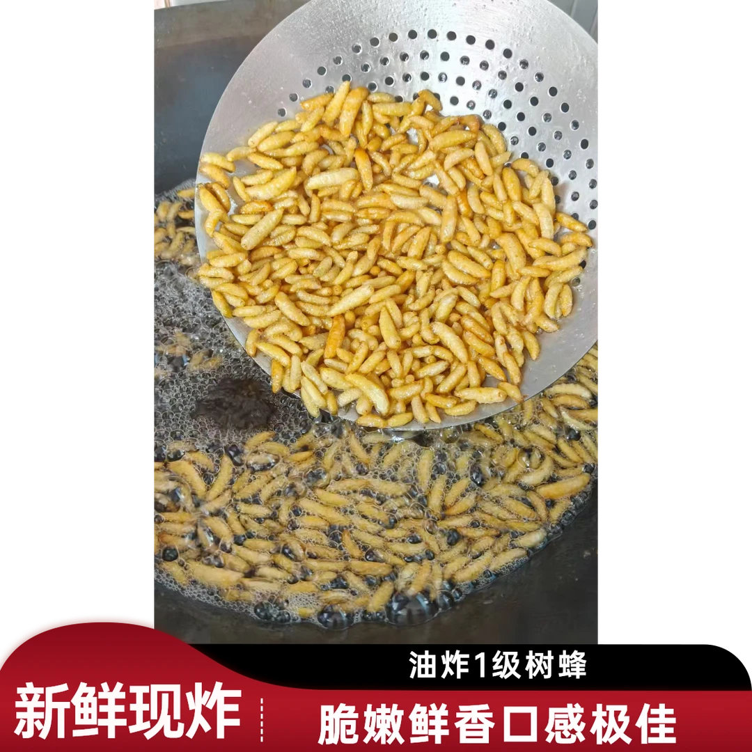 新鲜现炸1级树蜂新鲜蜂蛹蛋白饱满油炸食用餐桌必备顺丰包邮