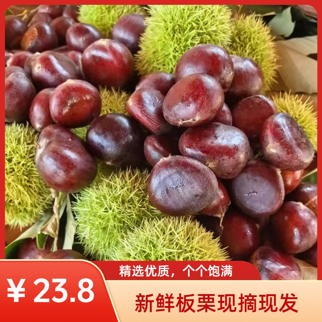 【买4斤送1斤】新鲜生板栗甘甜清脆非油栗子坏果包赔