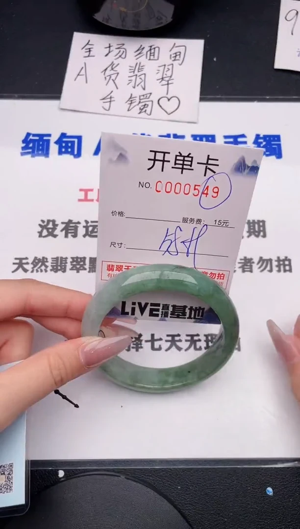 未镶嵌手镯翡翠49
