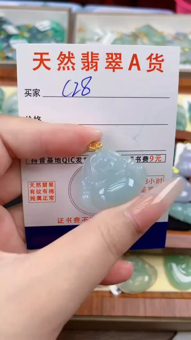 颈饰未镶嵌翡翠天然A货翡翠挂件