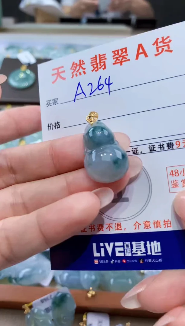 颈饰未镶嵌翡翠天然翡翠A货挂件