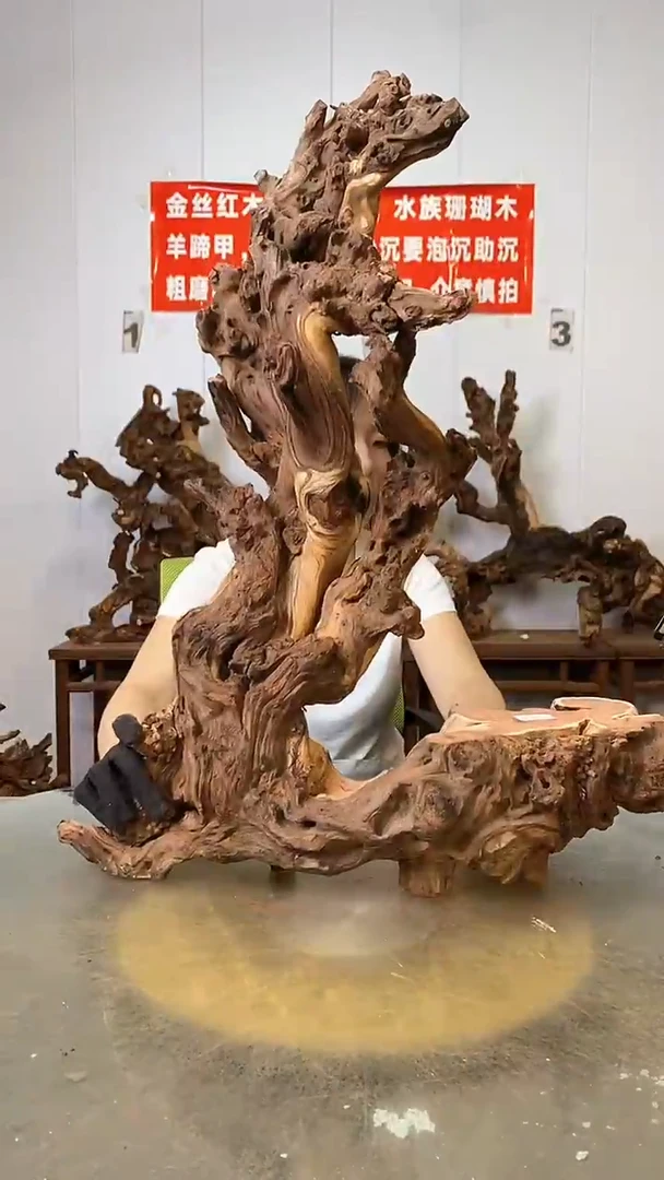 香榧木L****n金丝红木   羊蹄甲