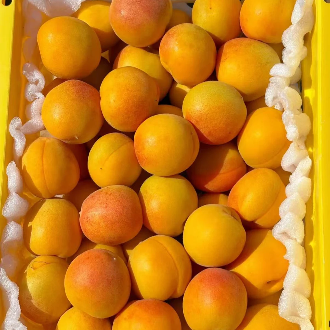 Q大果【超值装7斤】【次日达】头茬新疆吊干杏原箱发货净重7斤新疆维吾尔自治区