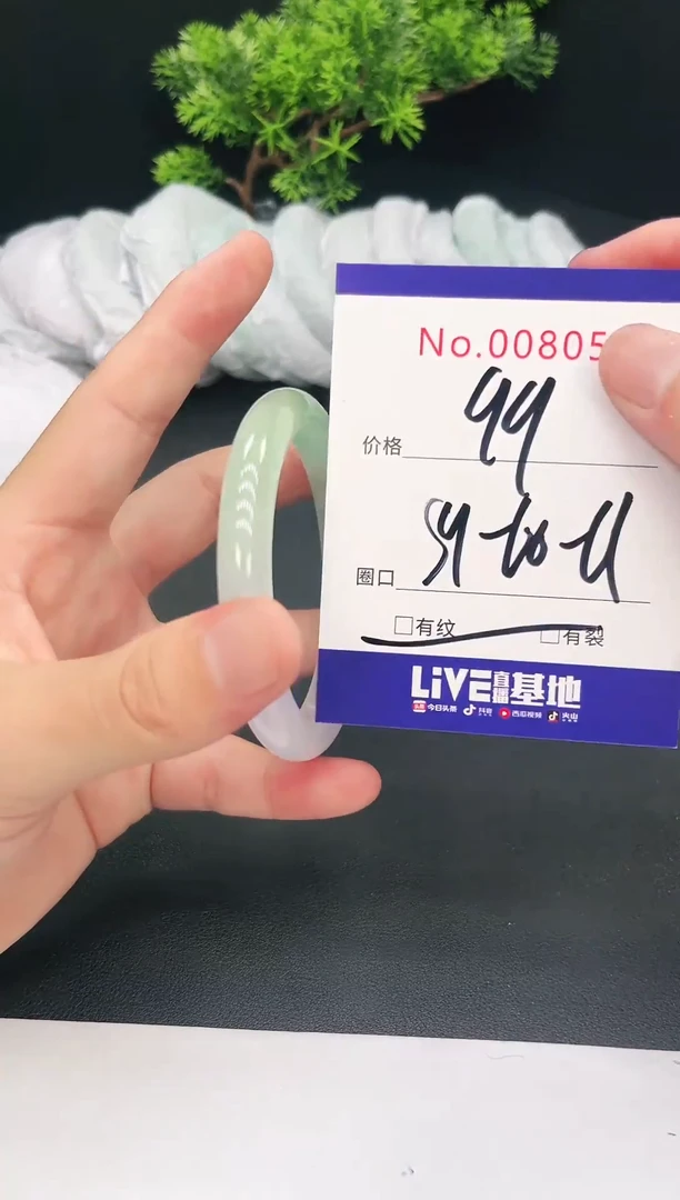 未镶嵌手镯翡翠00805
