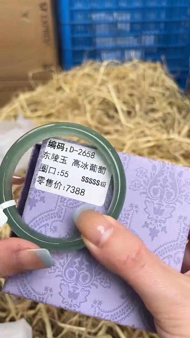 未镶嵌手镯石英质玉D-2658