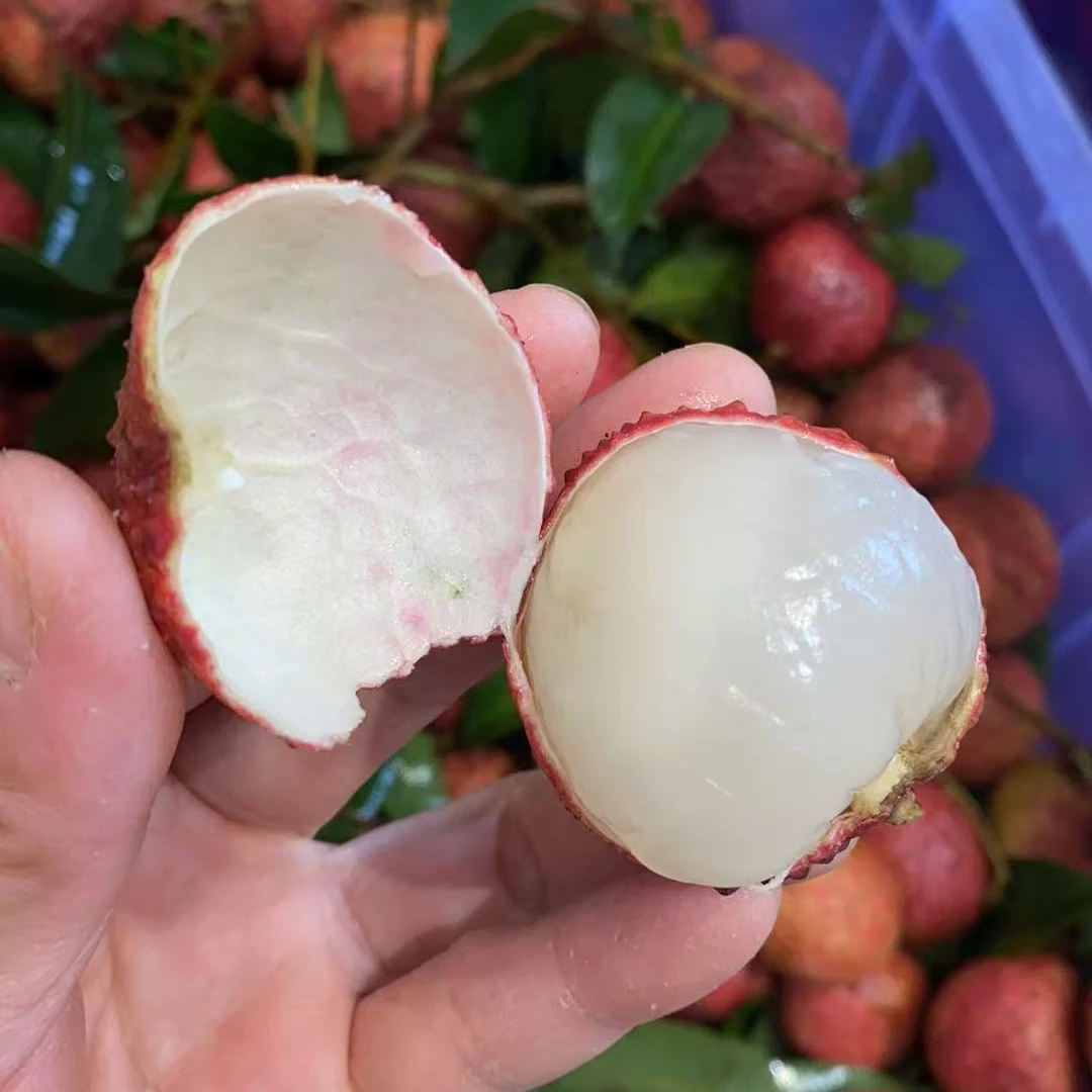 鸡嘴荔枝2斤装口感好广东省