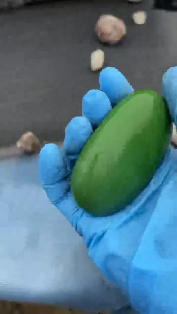 颈饰未镶嵌和田玉（糖玉）琪*呀15