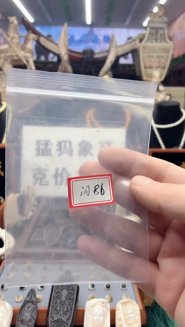 猛犸猛犸++++++86
