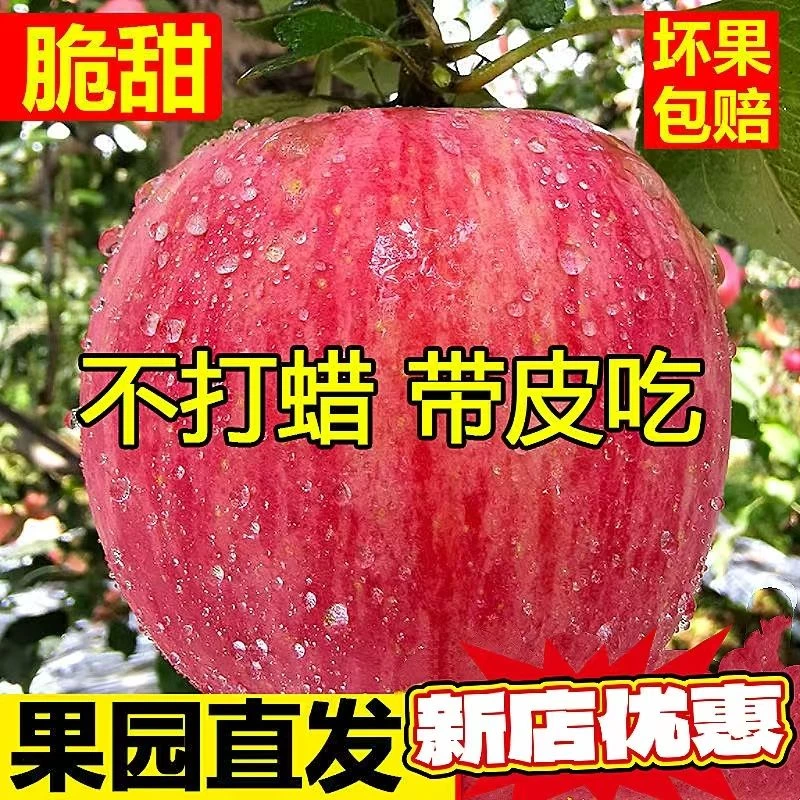 (买5斤送5斤)陕西正宗高山红富士苹果整箱现货脆甜可口