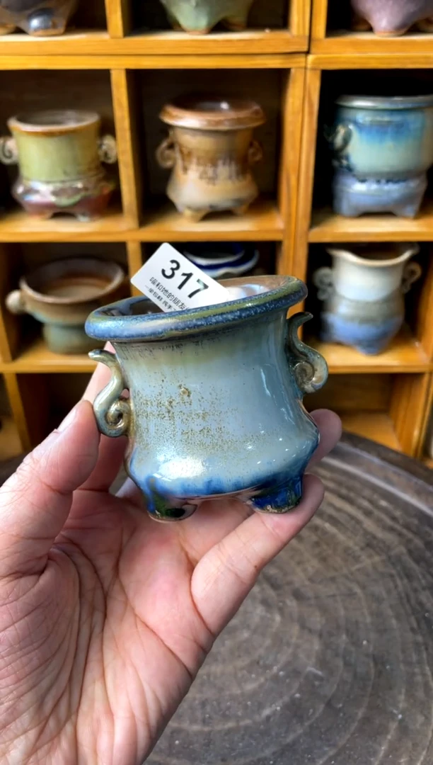 317【多肉花盆多肉盆】