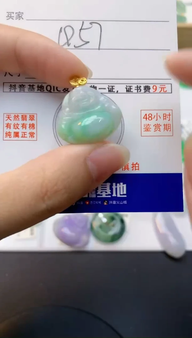 颈饰未镶嵌翡翠天然缅甸A货翡翠