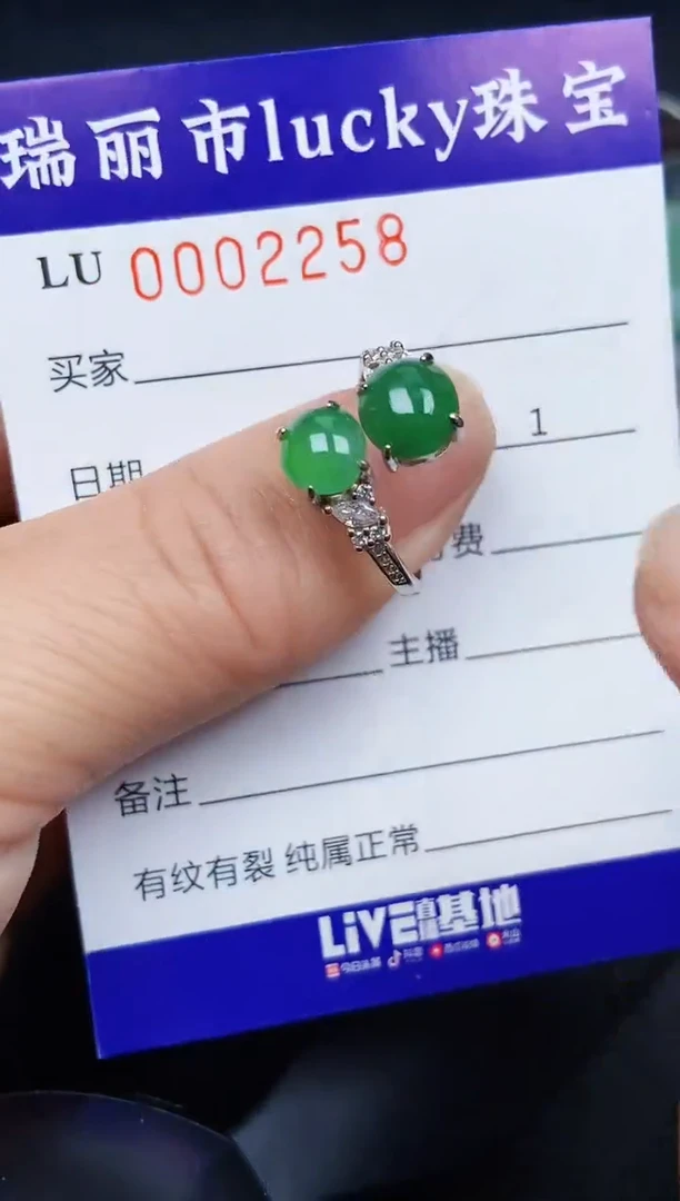 翡翠银S925镶嵌颈饰2258