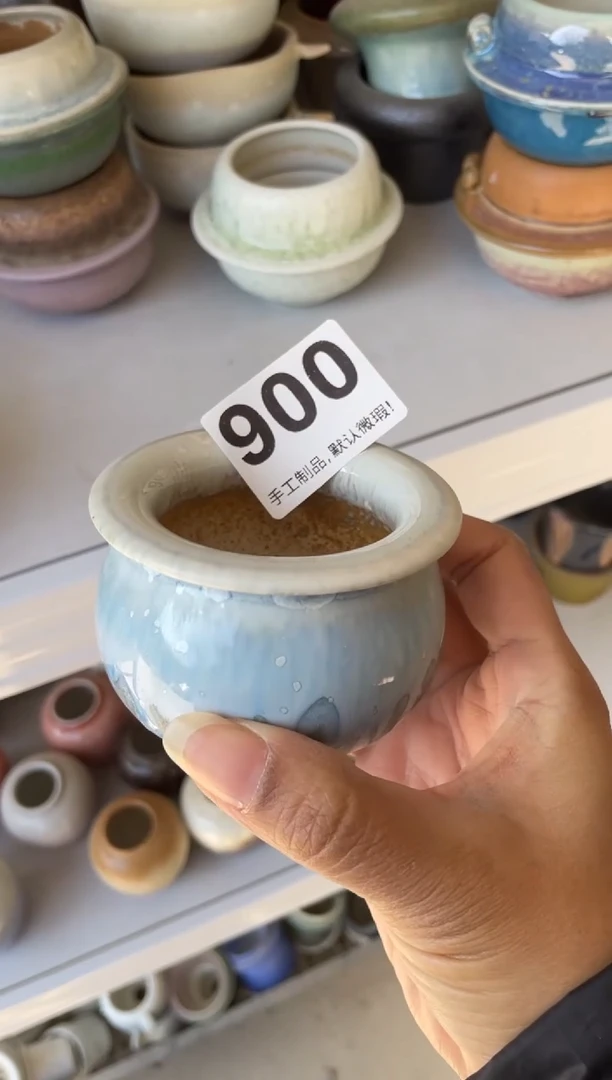 瓷片C****!900知木小芳花盆