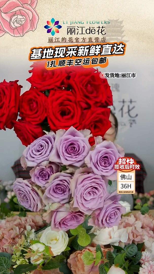 无花朵顺丰空运包邮65~70cm娜欧米+紫霞仙子 共20枝