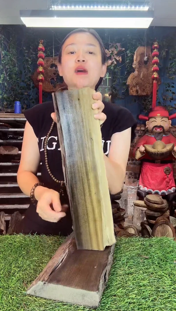 金丝楠小叶祯楠1