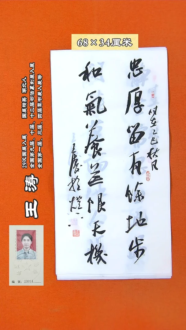 书法162D王涛书法作品