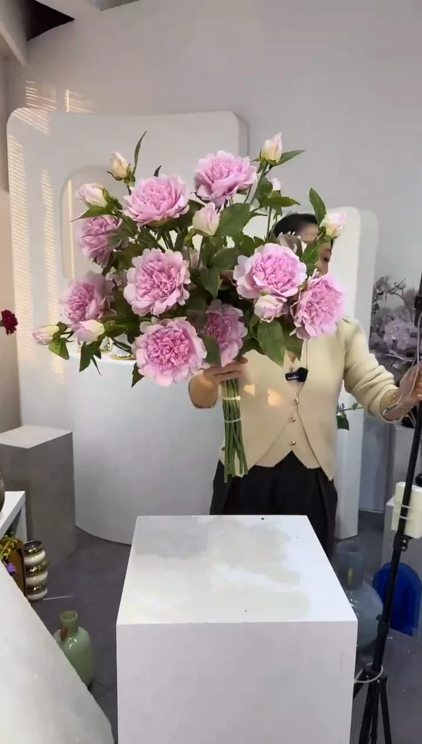 【闪购商品】藤10枝粉色牡丹花