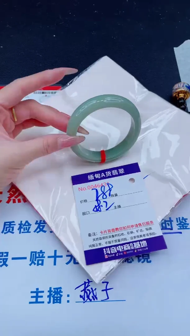未镶嵌手镯翡翠288