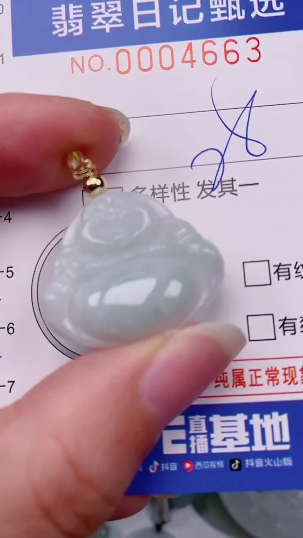 翡翠未镶嵌颈饰00004663