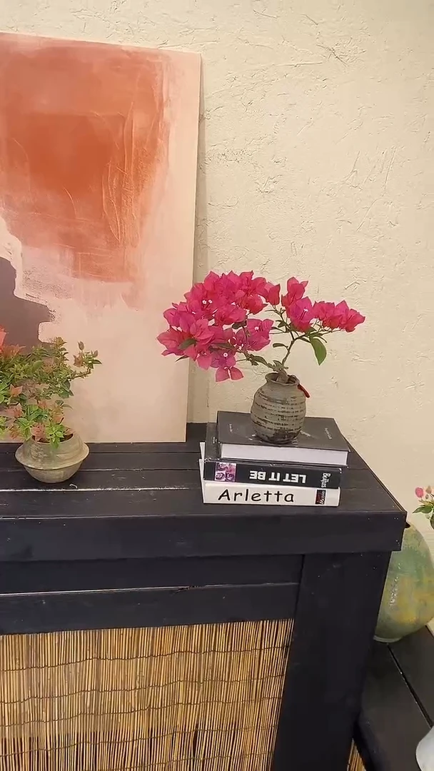 无花朵兔*?同安红