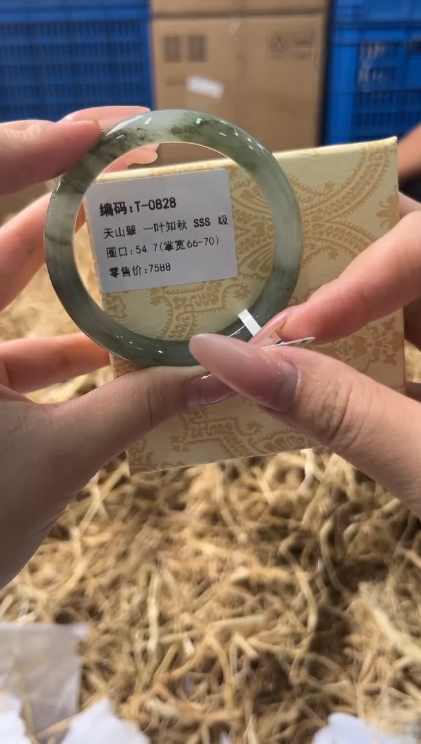 未镶嵌手镯石英质玉T0828