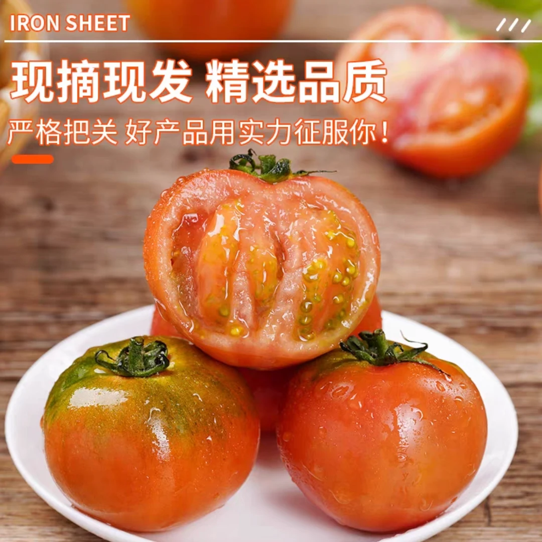 铁皮草莓西红柿酸甜可口一口爆汁自然熟成现采现发老人宝宝可食番茄同城配草莓番茄江苏省