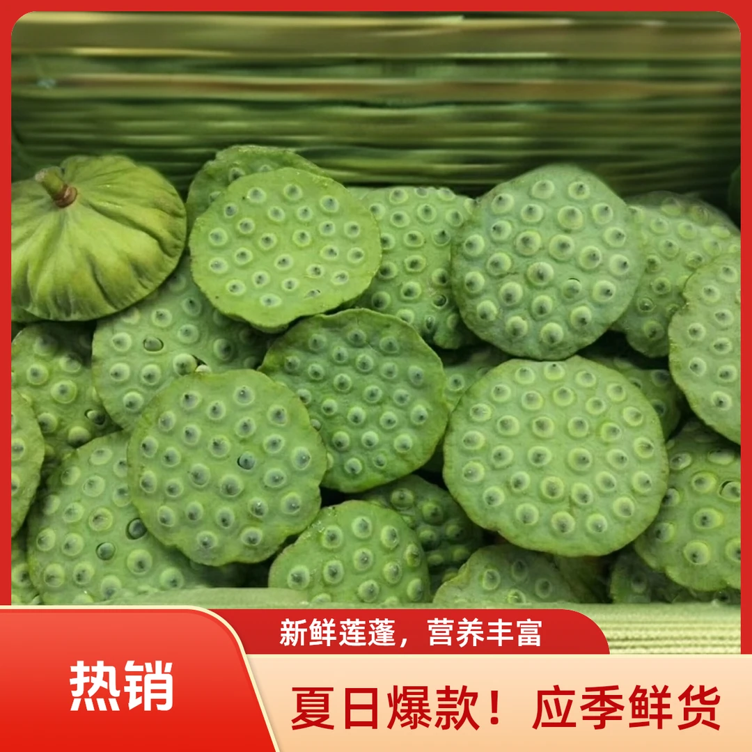 夏日爆款！应季鲜货，现摘新鲜莲子莲蓬，水果莲子莲蓬，颗颗饱满清甜