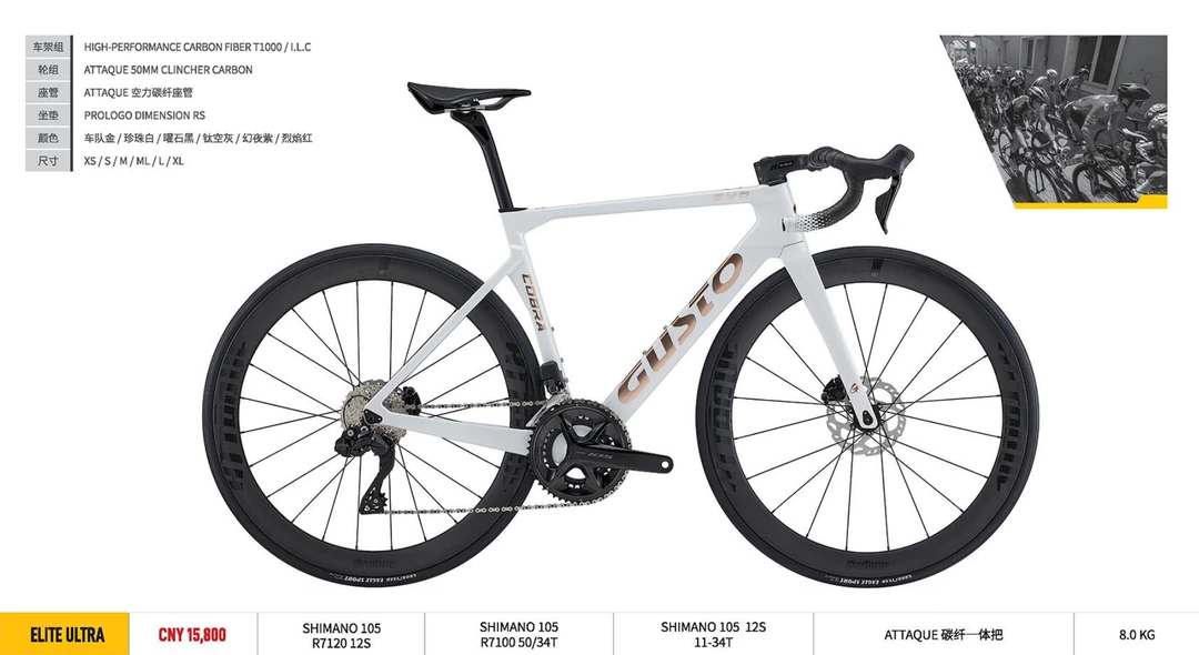 高士特 COBRA EVO 菁英极限版碳纤维专业轻快竞赛公路车