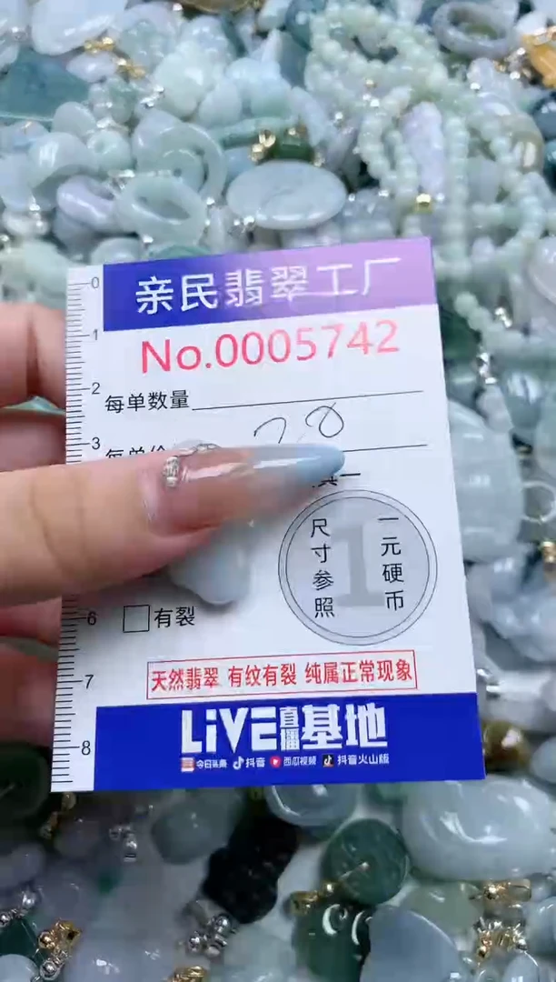 翡翠未镶嵌吊坠(不含链)5742