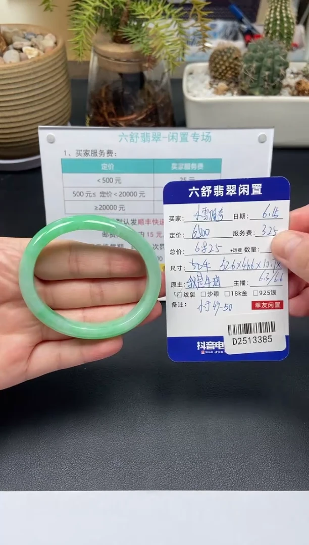 翡翠手镯未镶嵌小**奇D2513385