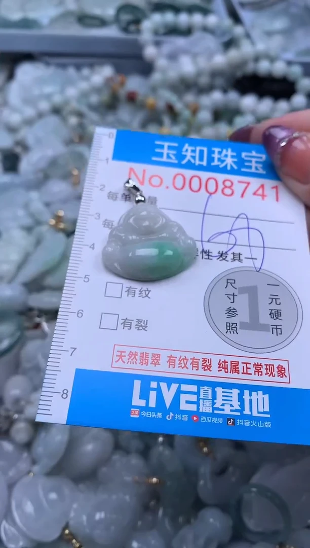 翡翠未镶嵌吊坠(不含链)8741