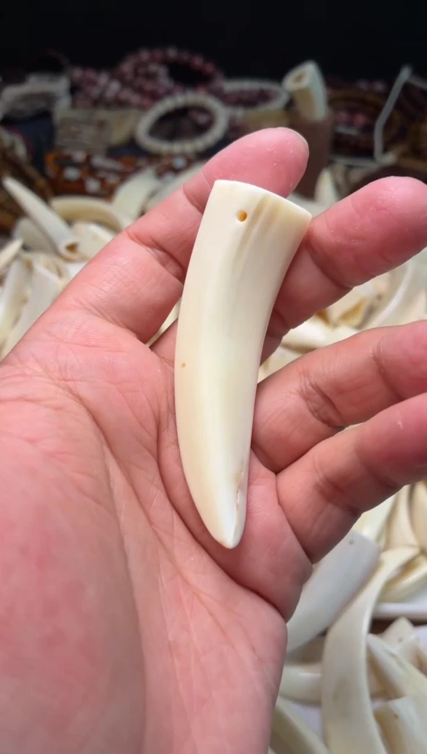 猪牙把件一**秋杂件353-猪牙把件