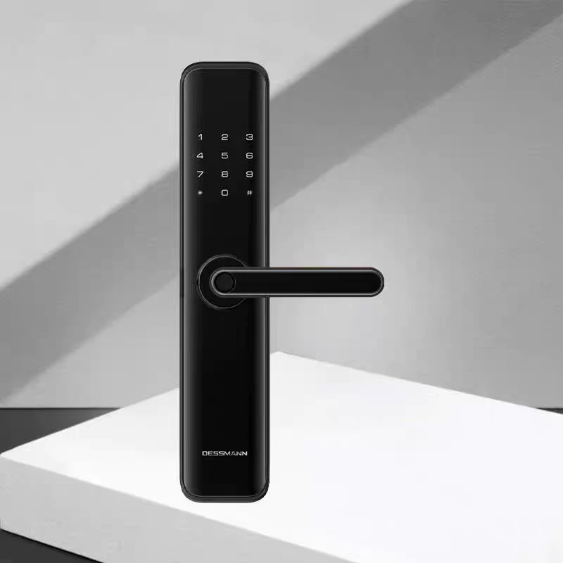 【样锁】德施曼E16智能锁