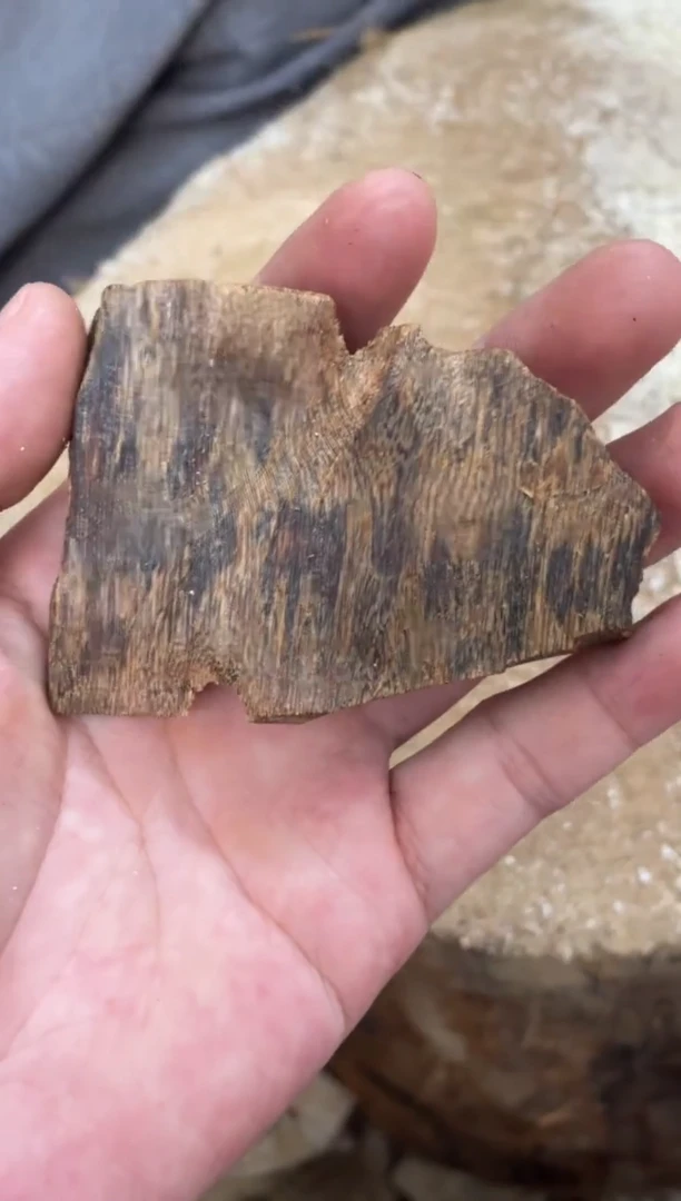 沉香沉香碎屑棋楠沉香 原料文创1